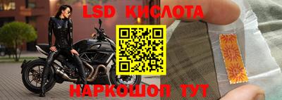 прущие крисы Краснознаменск