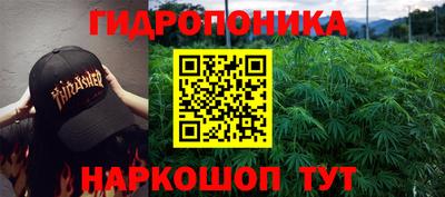 прущие крисы Краснознаменск