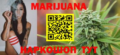крисы Краснодар